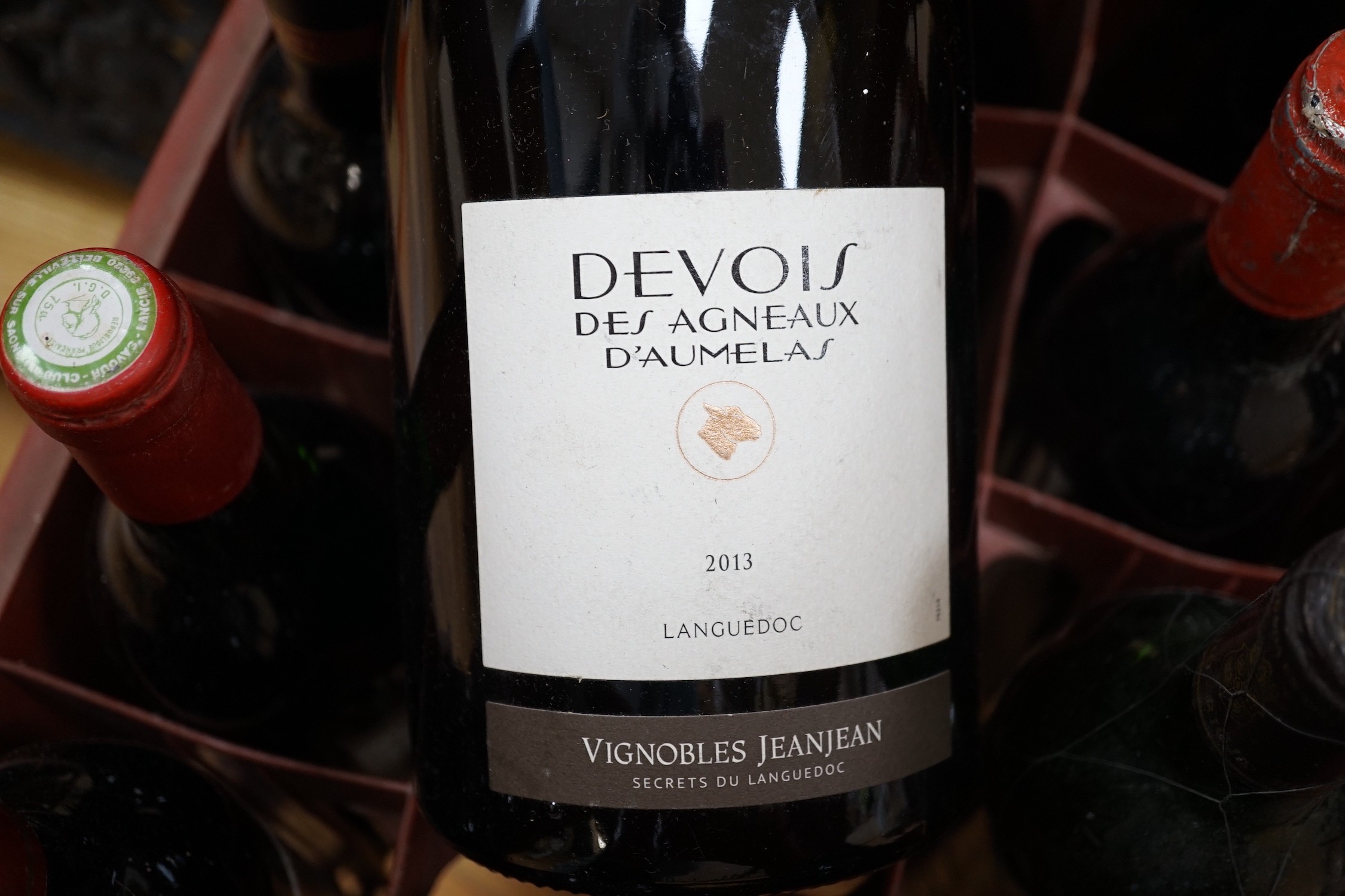 11 bottles of Wine including Devois des Agneaux, D'Aumelas magnum, 2013
